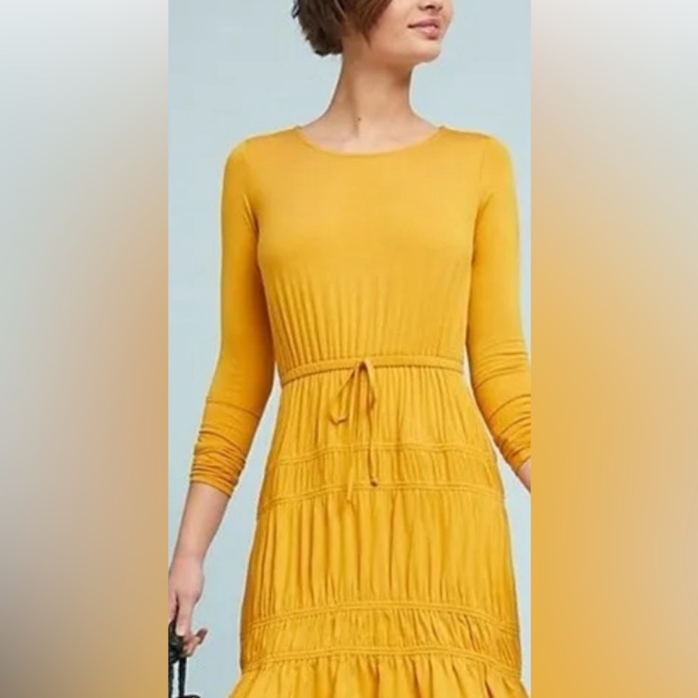 Dolan Left Coast Collection NWT Small Petite Dress